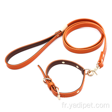 Colliers pour chiots doux et ajustables pour chiens avec boucle en métal